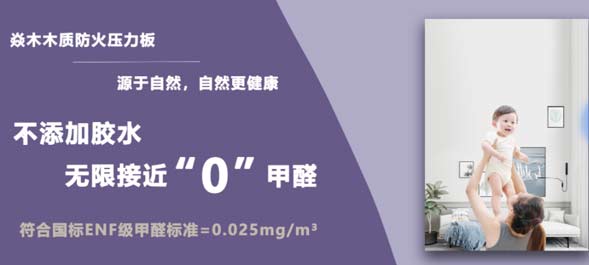 蛇年新啟，浙江焱木科技正式開工